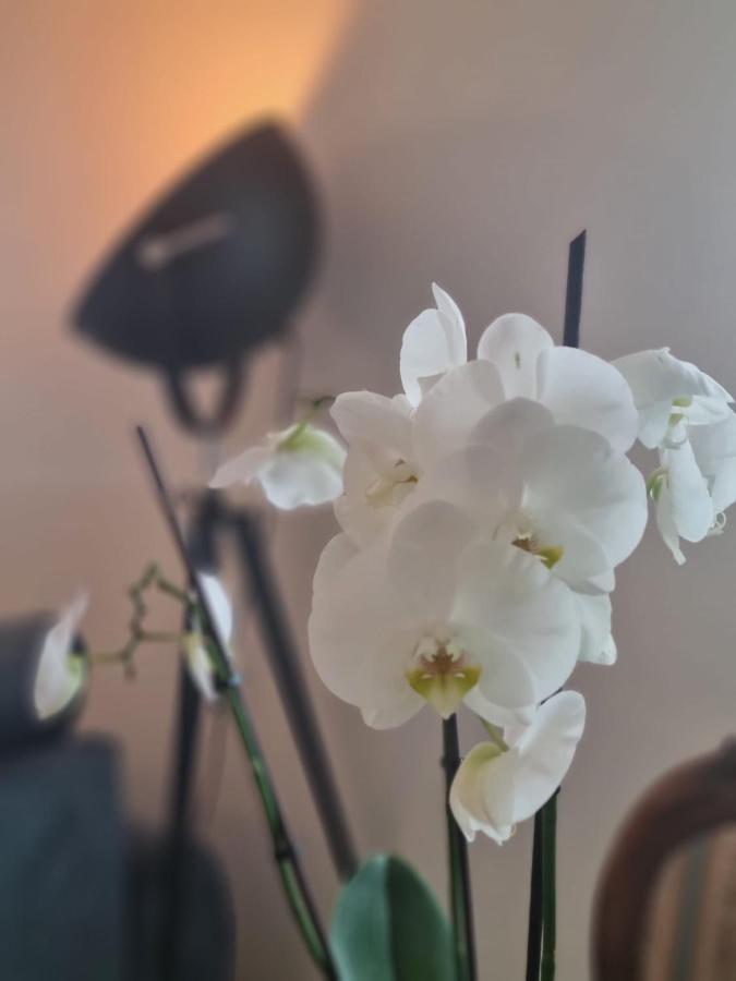 Wellness Ferienhaus Mechernich Esterno foto